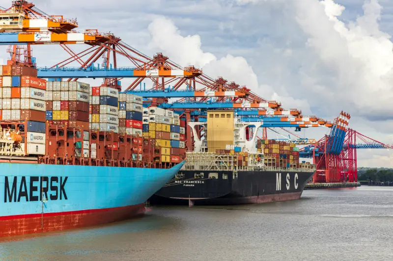 FX Rules Series_ Export-Import_ FXD_01_2024