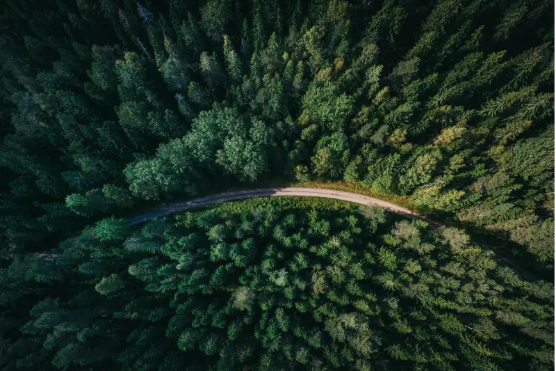 New Regulation for Forest Development and Carbon Trading in Ethiopia